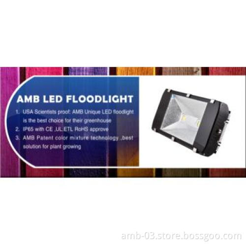 outdoor lighting IP65 150W LED Floodlight